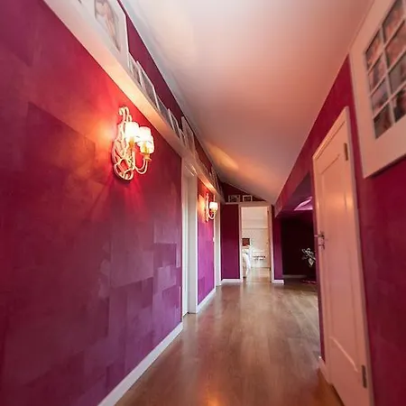 Apartment Charming Penthouse With Private Terrace *